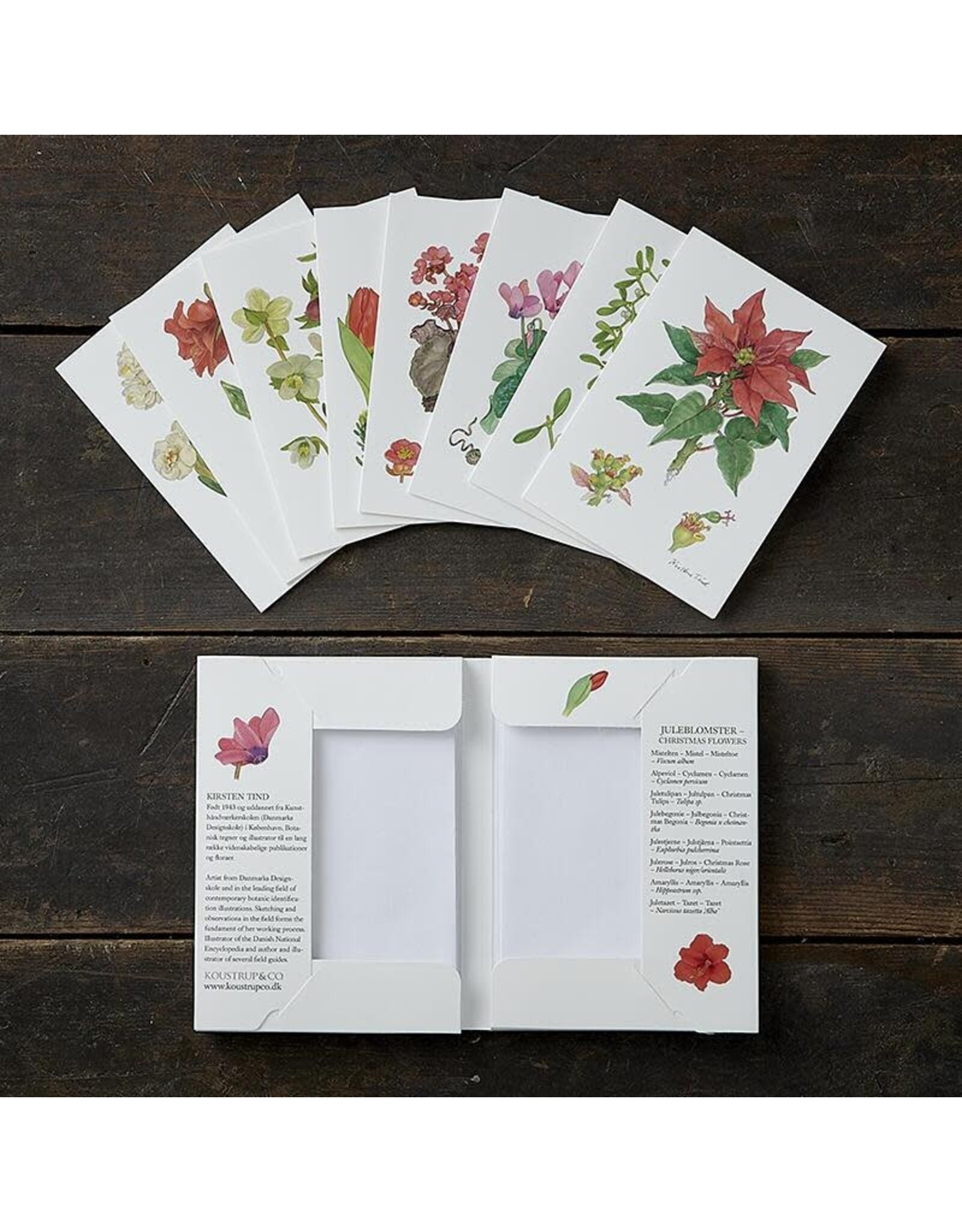 Christmas Flowers Note Card Set