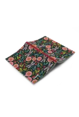 Dragonfly Field Notebook