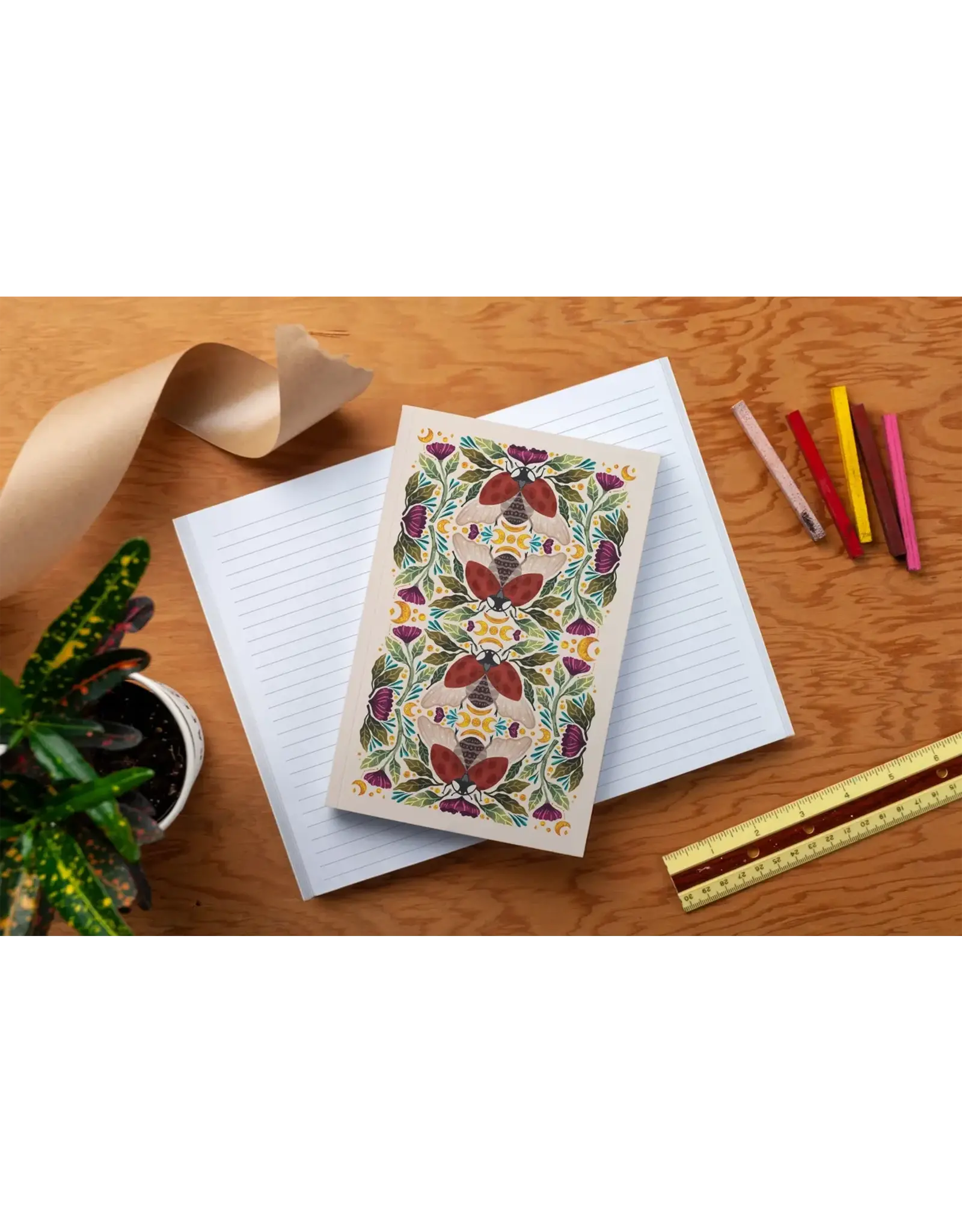Ladybug Notebook