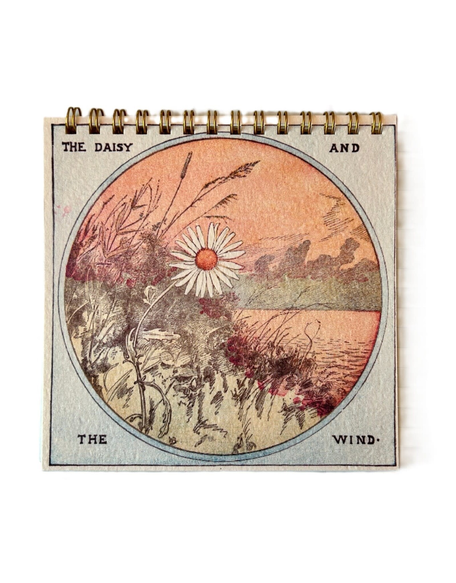 The Daisy and the Wind Notebook