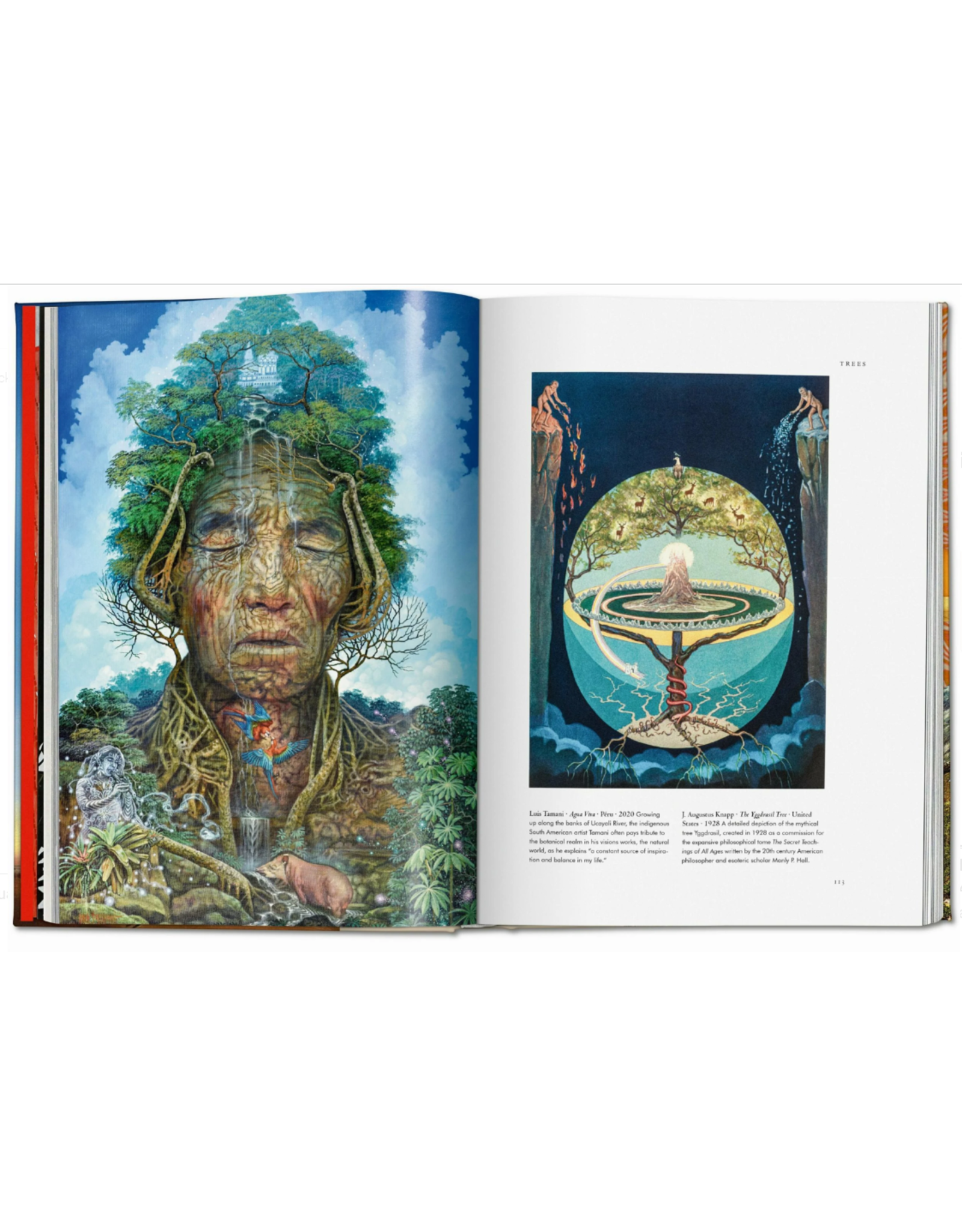 Plant Magick: The Library of Esoterica