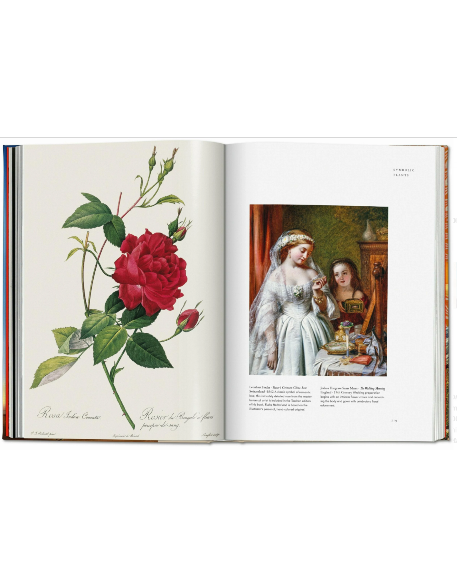 The Library of Esoterica: Plant Magick