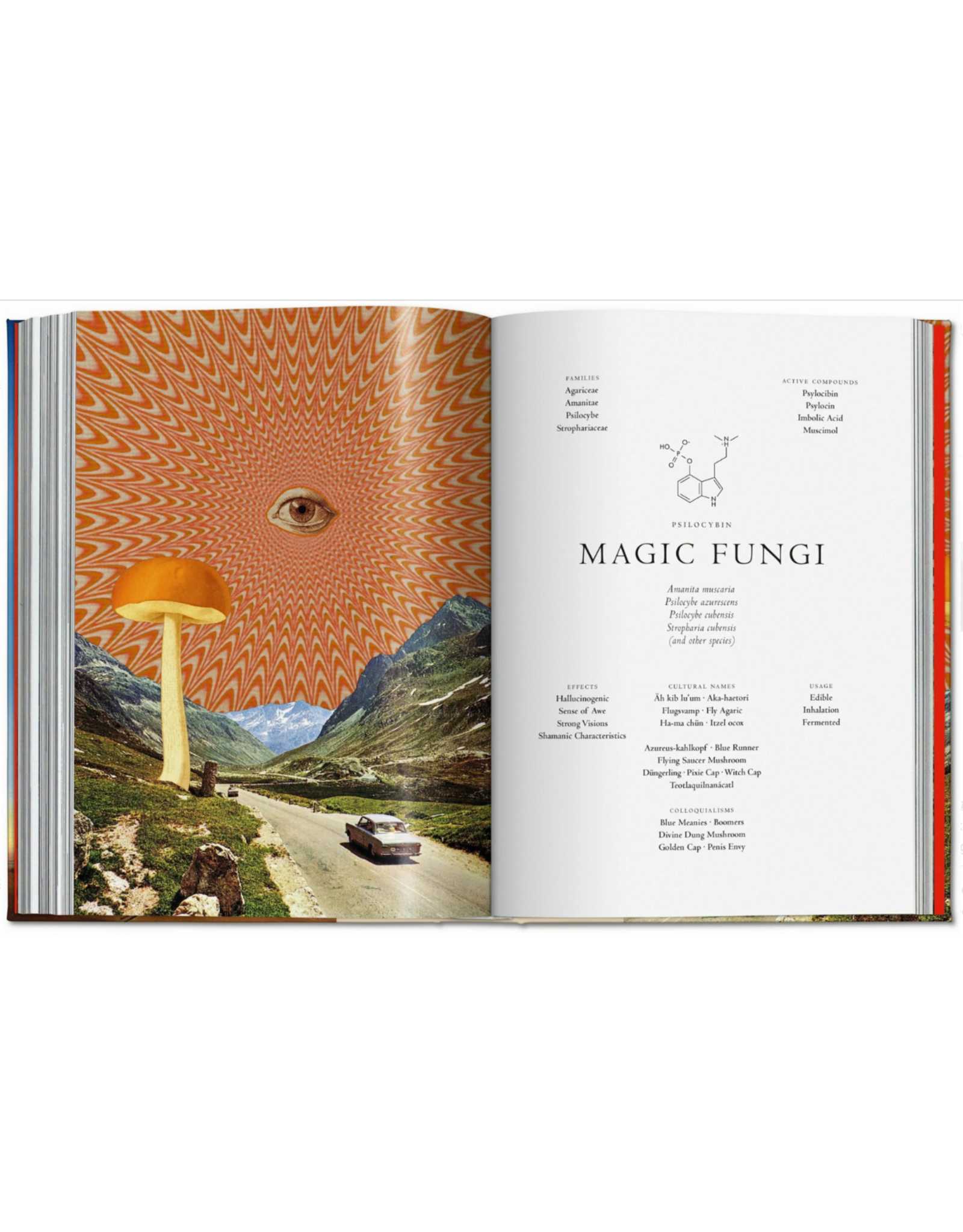 The Library of Esoterica: Plant Magick