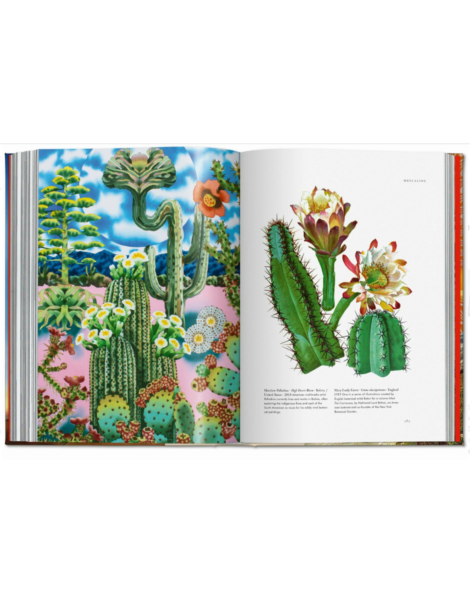 The Library of Esoterica: Plant Magick