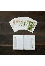 White Christmas Flowers Notecards