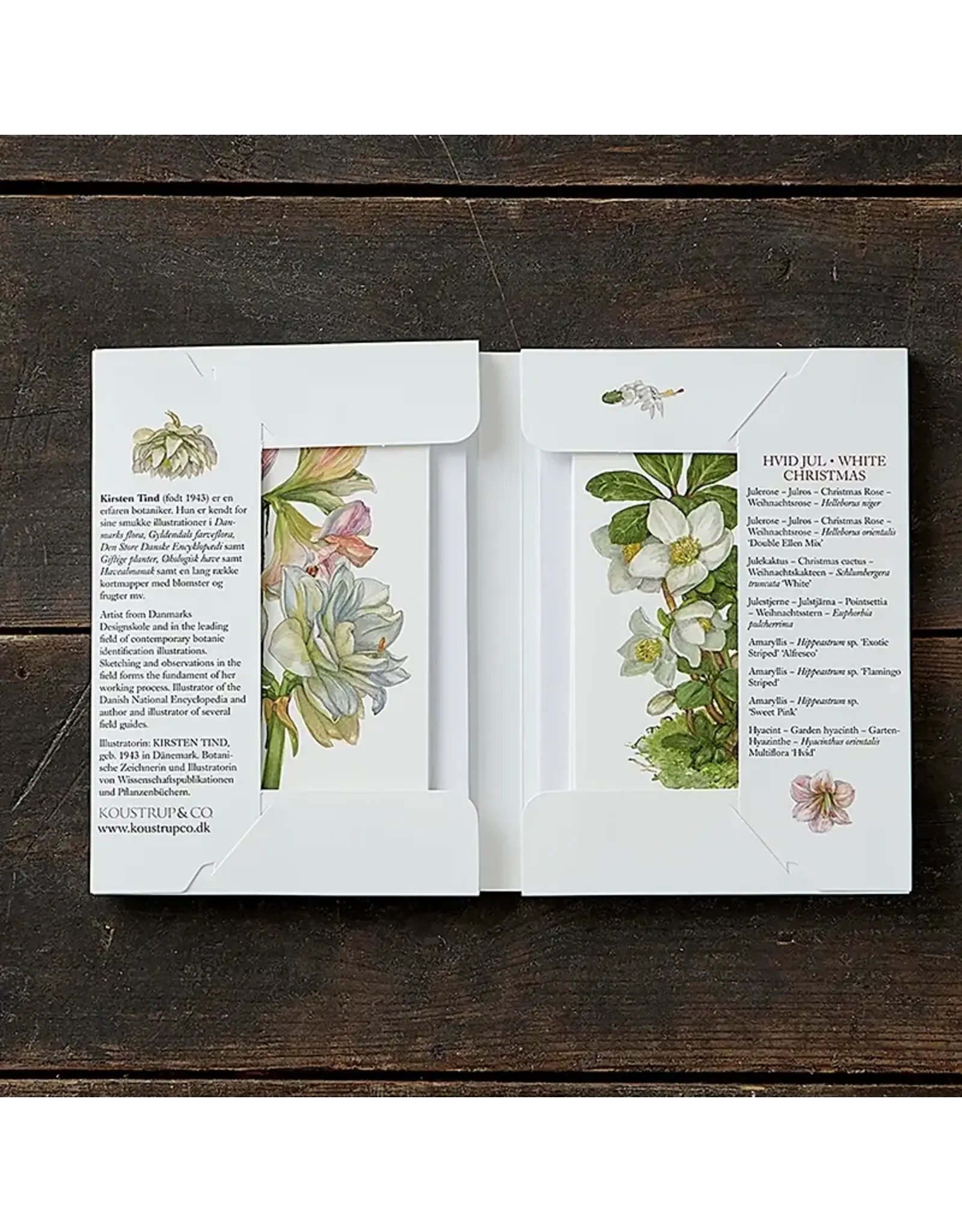White Christmas Flowers Notecards