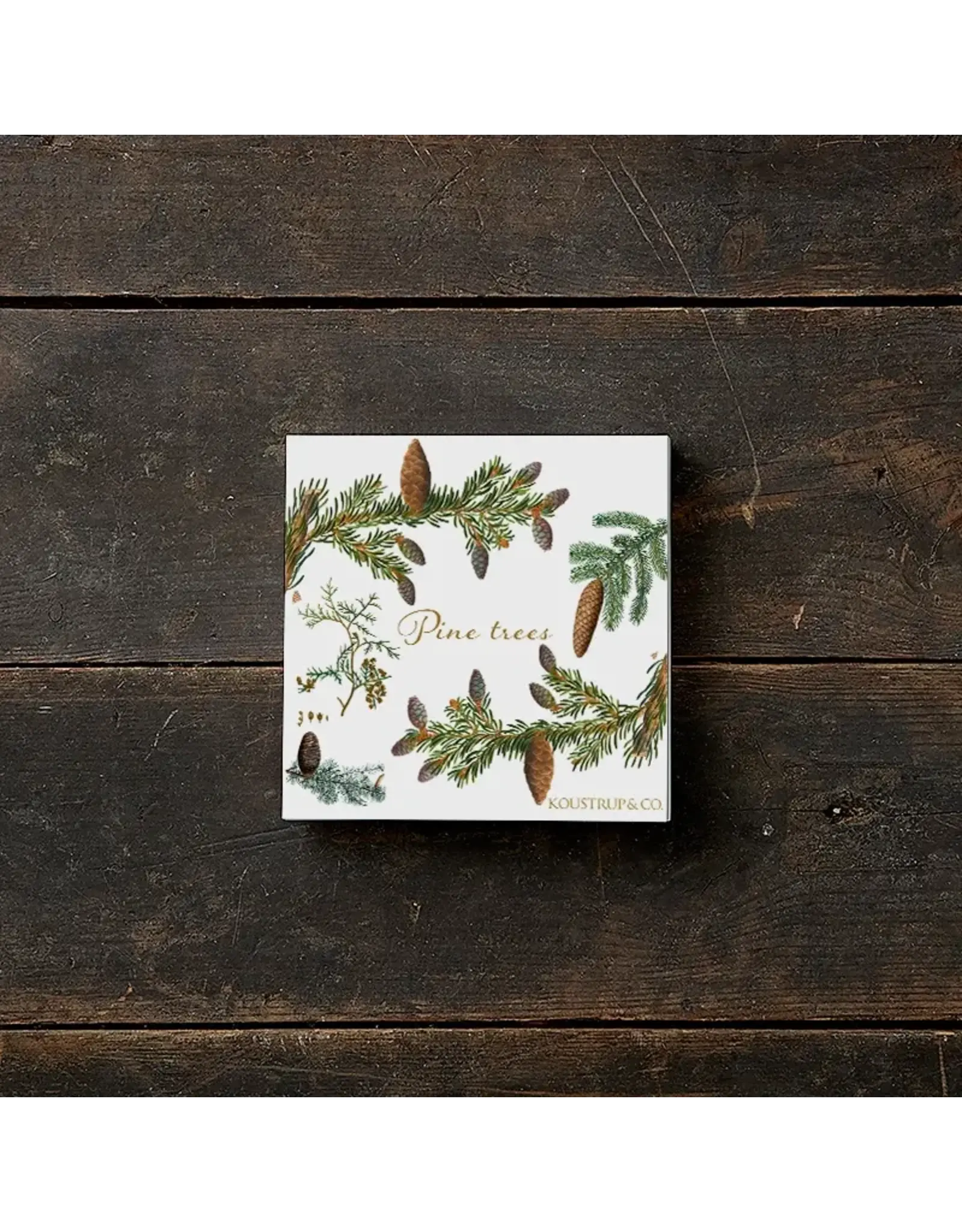 Pine Tree Notecards Set
