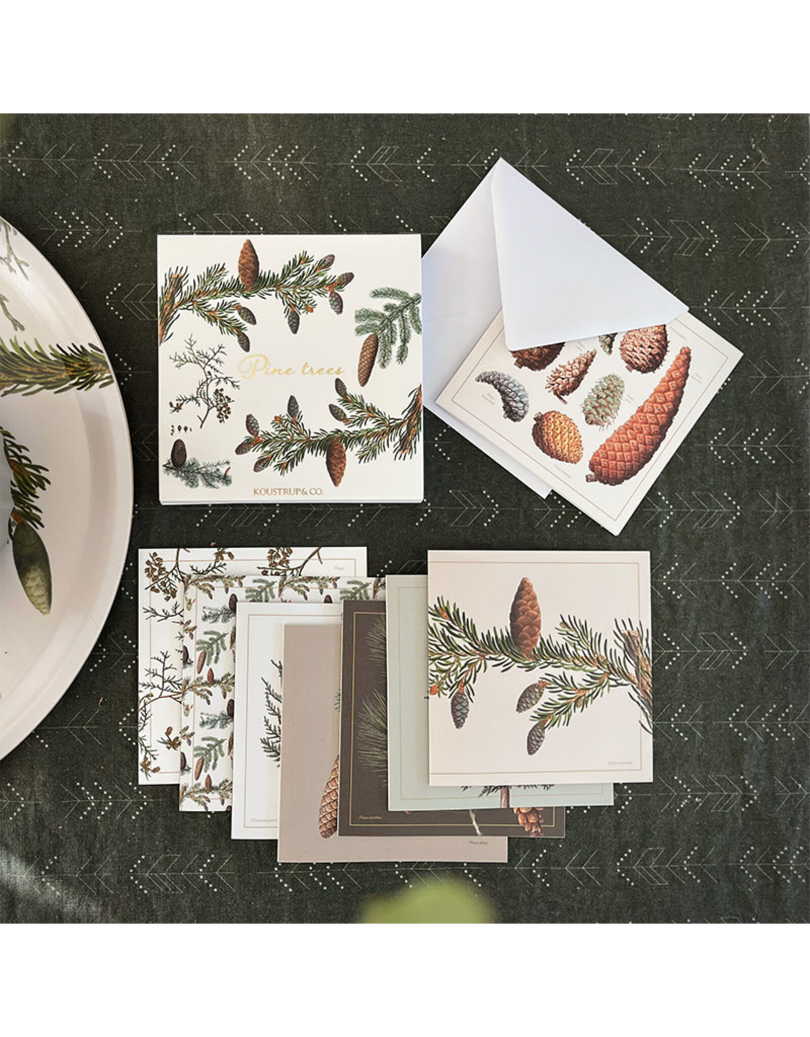 Pine Tree Notecards Set