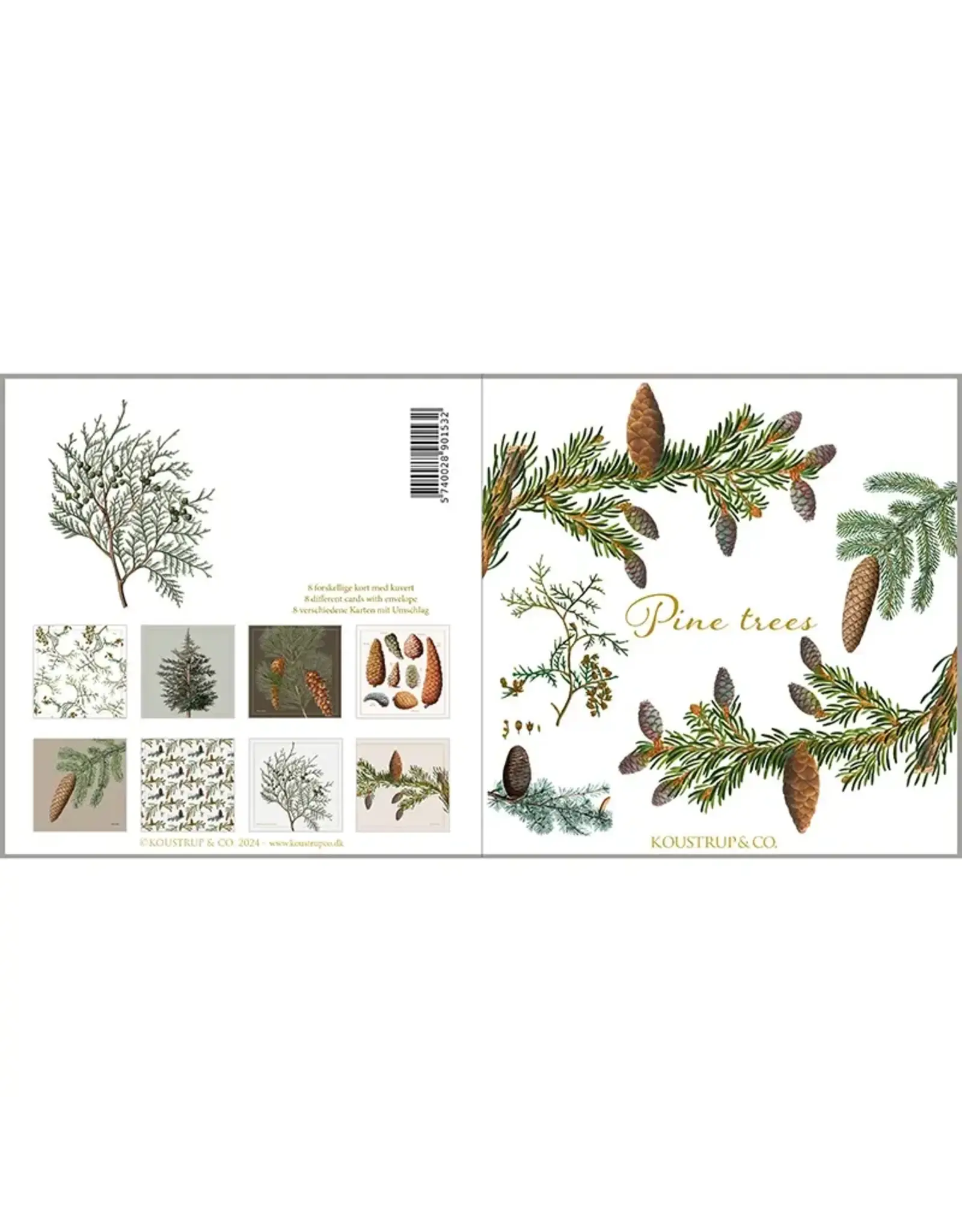 Pine Tree Notecards Set
