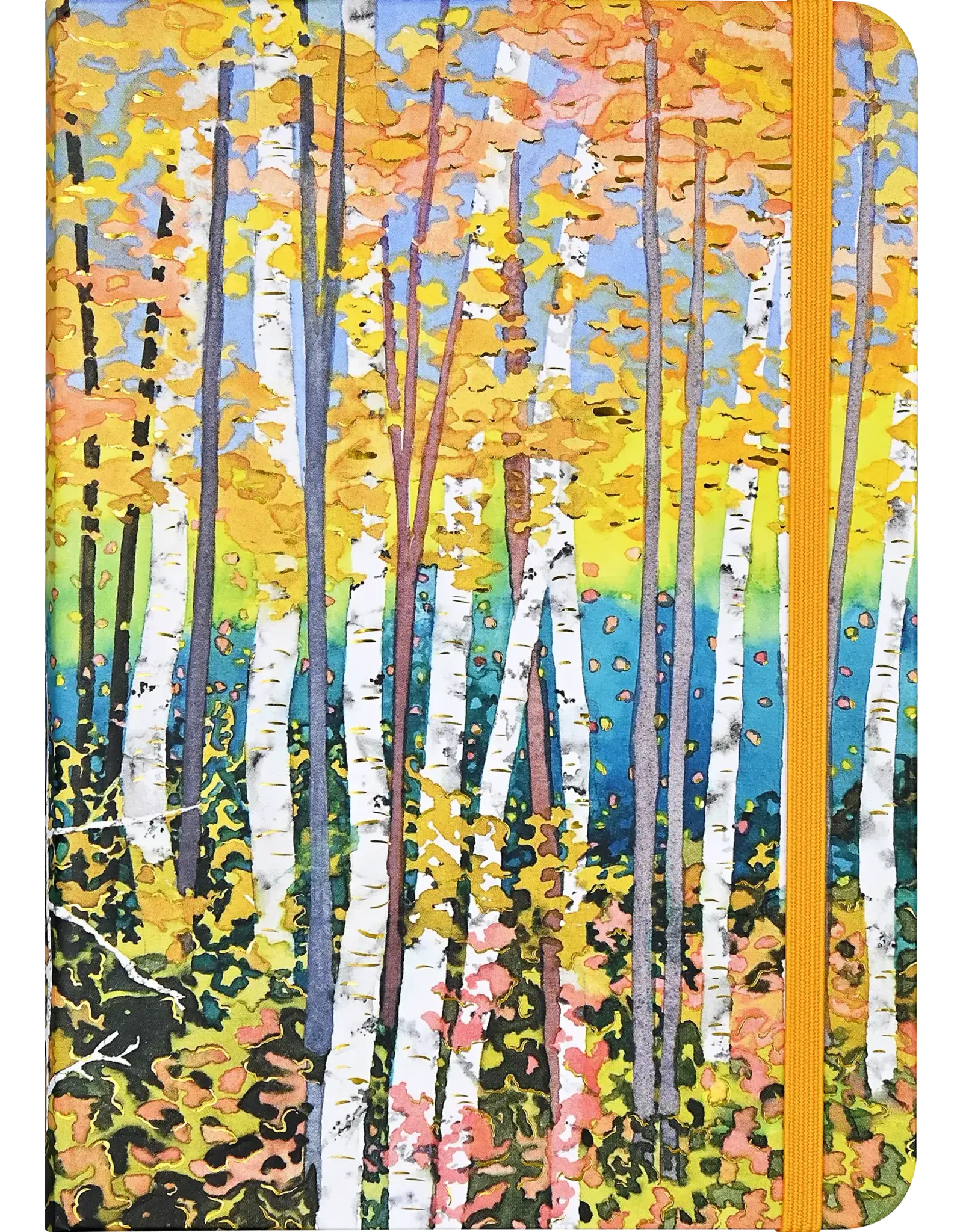 Aspen Forest Journal