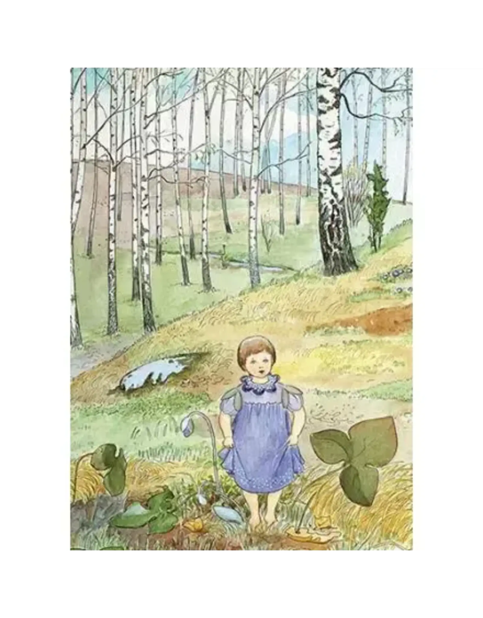 The Blue Flower Stands Out on the Slope Postcard