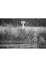 The Oak and the Larch