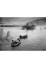 The Oak and the Larch