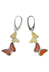 Amber Butterfly  Earrings on Hooks