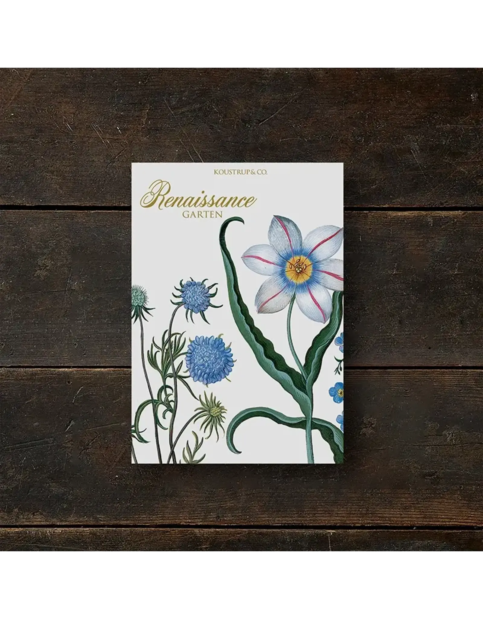 Renaissance Garden Note Card Pack