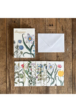 Renaissance Garden Note Card Pack