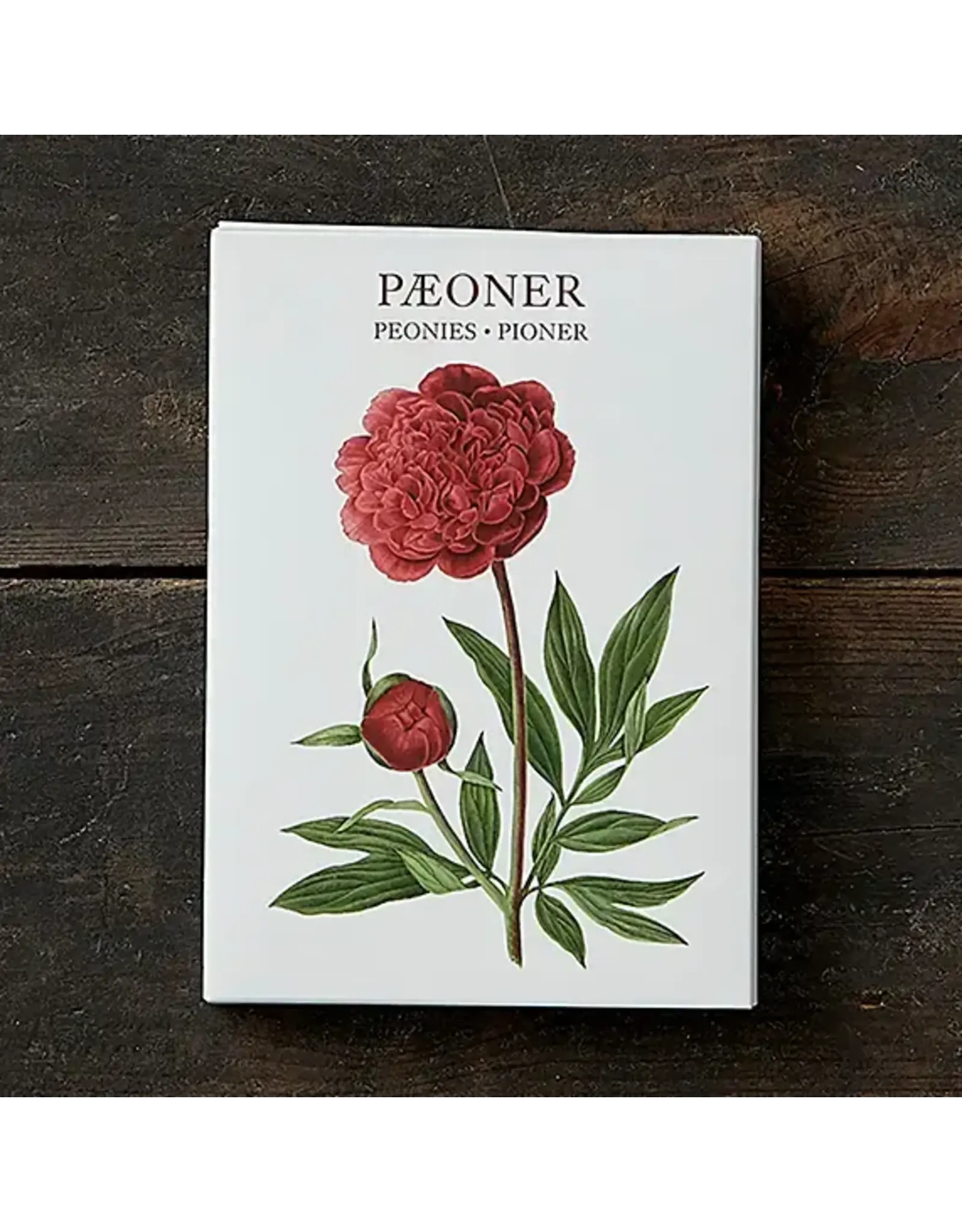 Peonies Card Pack