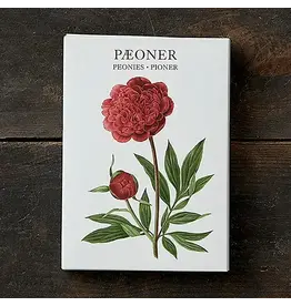 Peonies Card Pack