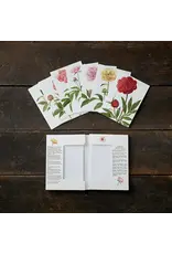 Peonies Card Pack