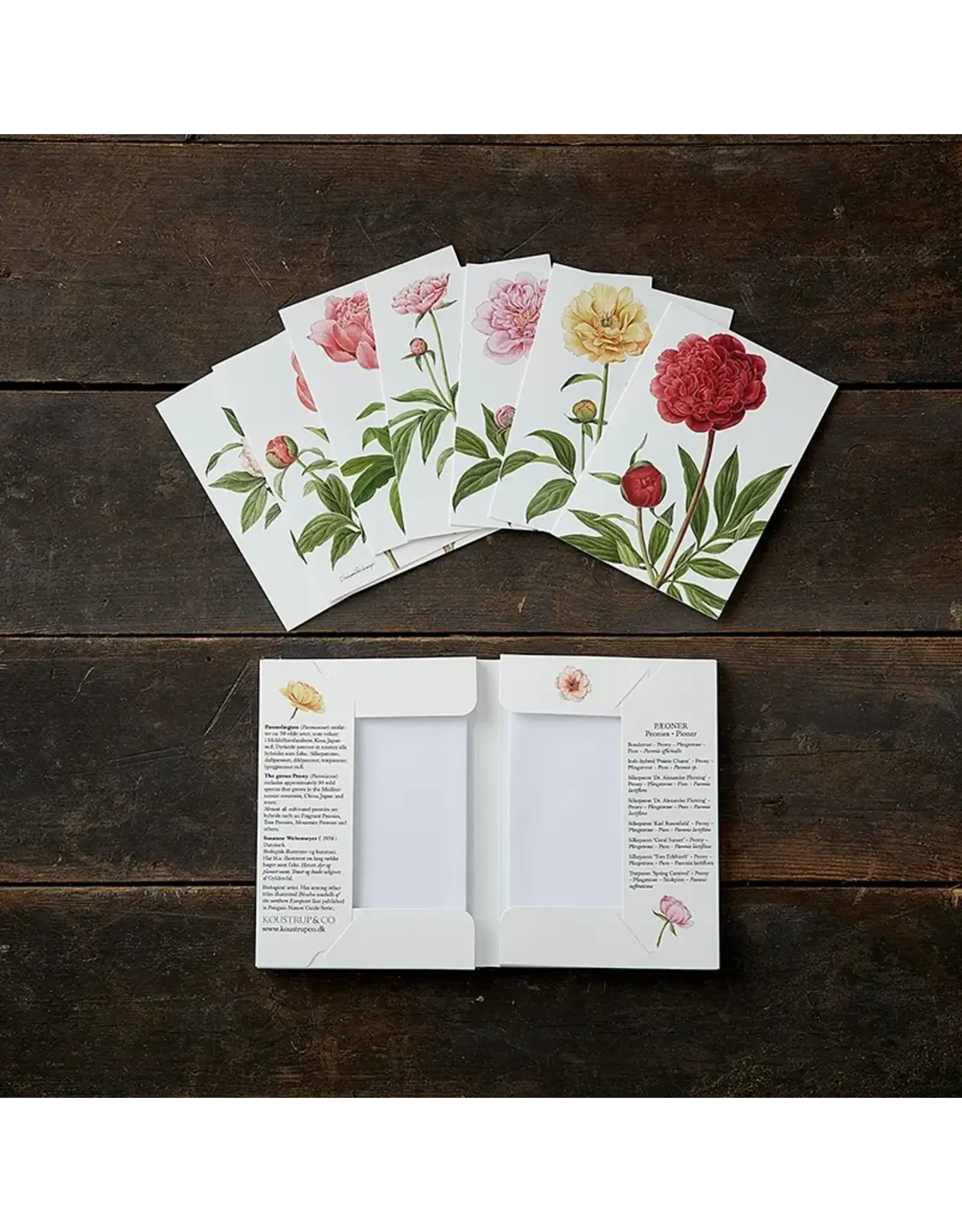 Peonies Card Pack