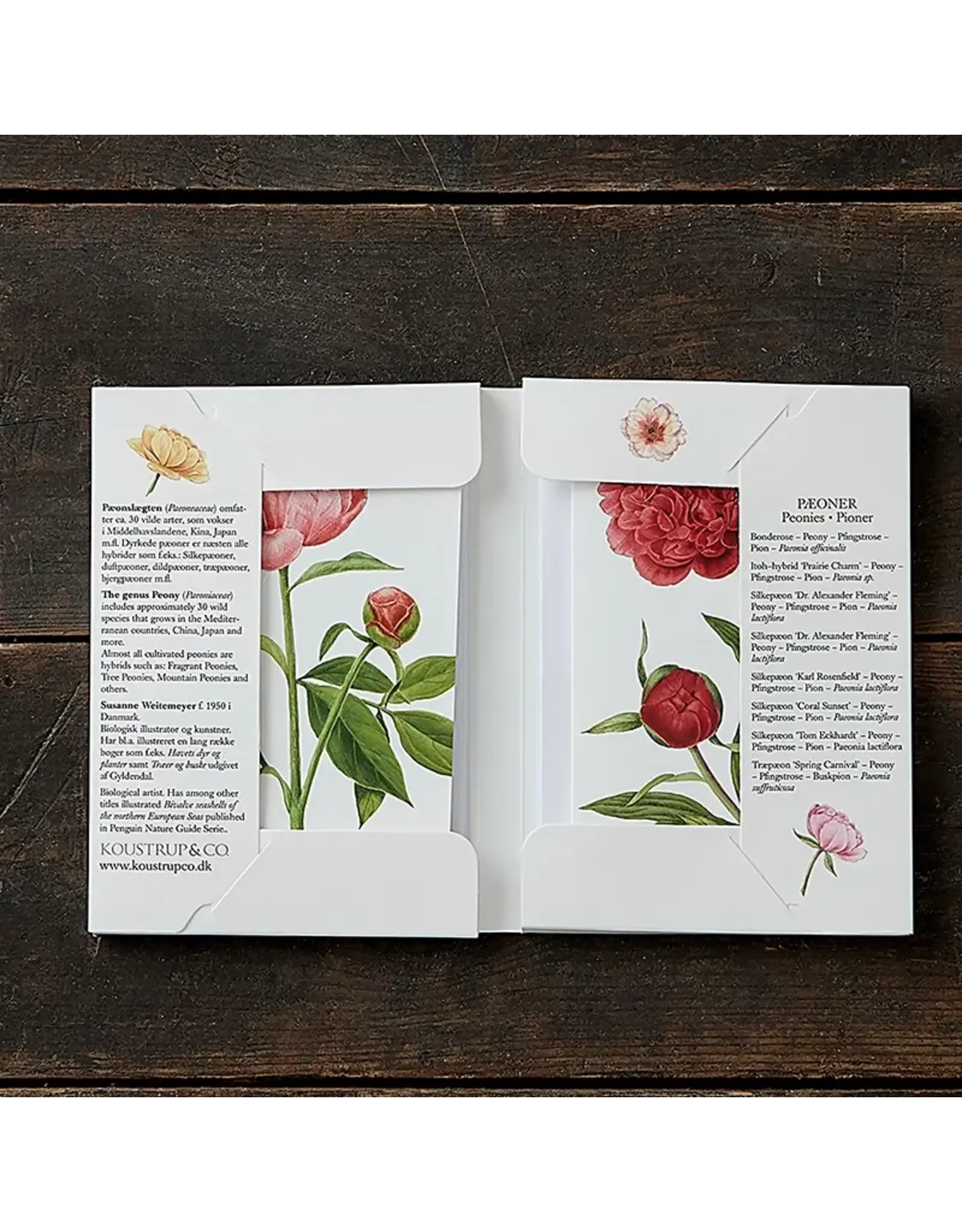 Peonies Card Pack