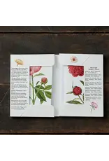 Peonies Card Pack