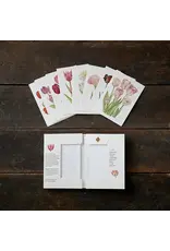 Tulips Card Pack