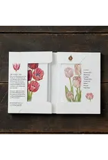 Tulips Card Pack