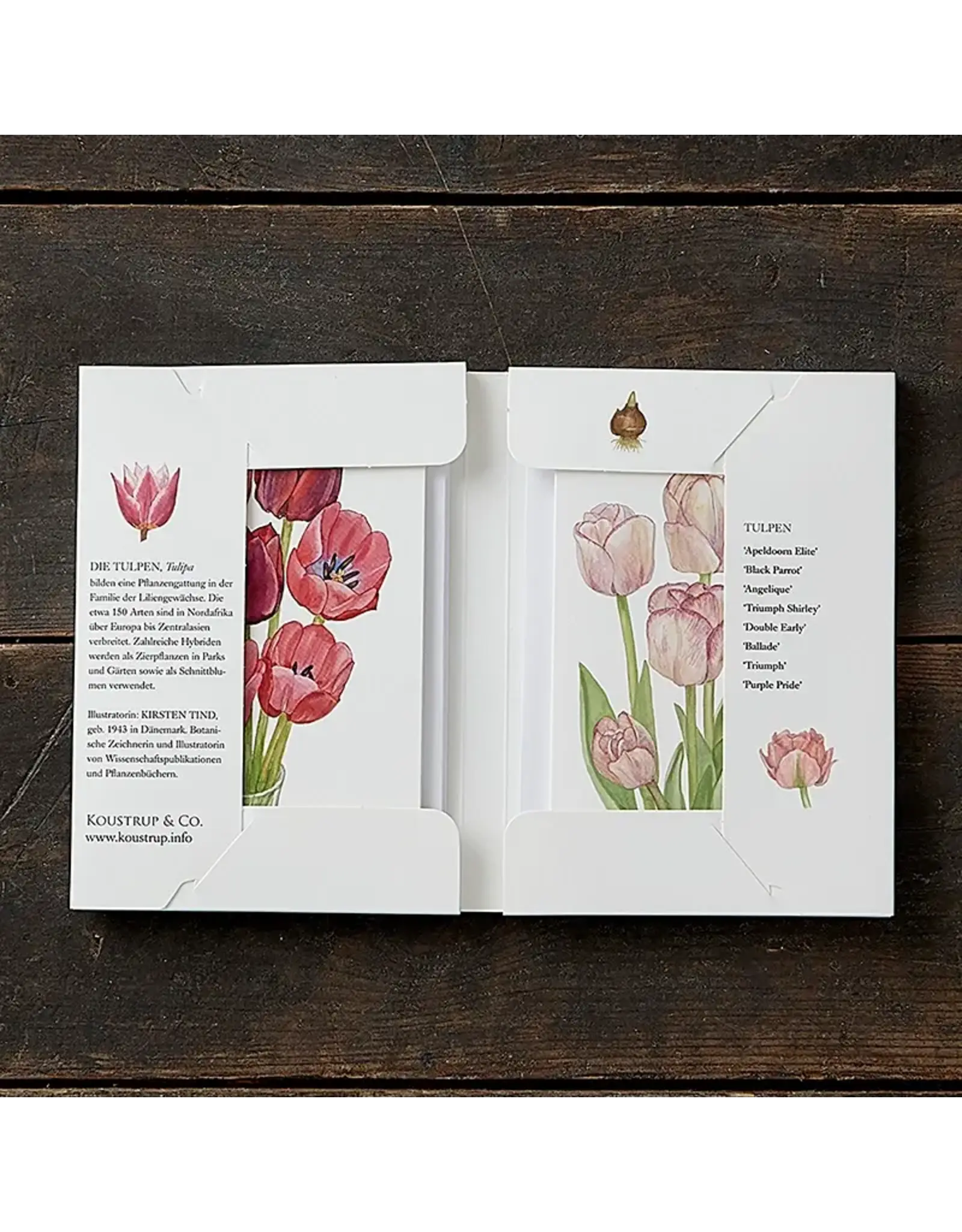 Tulips Card Pack