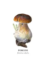 Alexander Viazmensky Mushrooms Memory Game