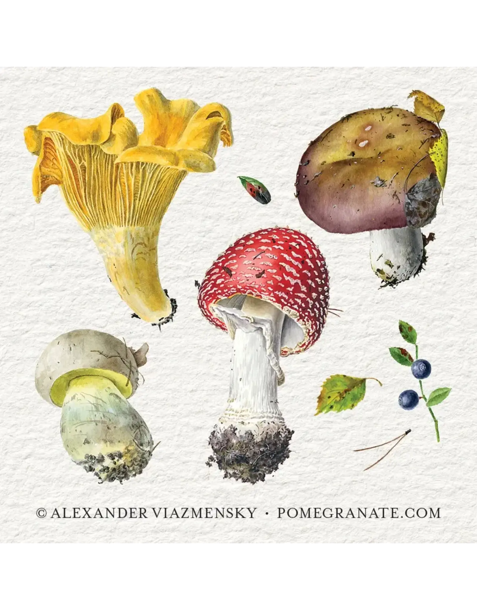 Alexander Viazmensky Mushrooms Memory Game
