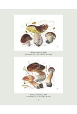 Portraits of Mushrooms Exhibition Book