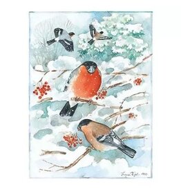 Bullfinches Postcard