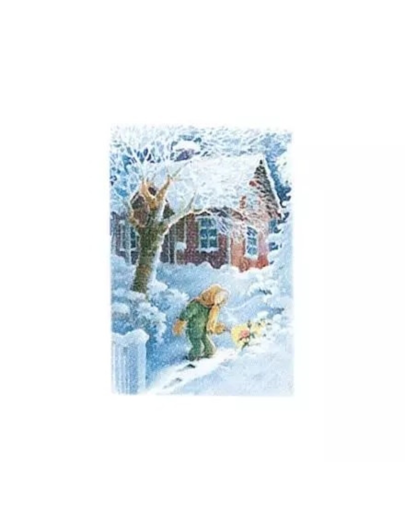 Winter Rose Postcard