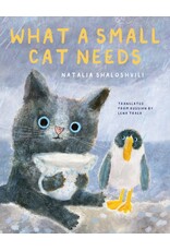 What A Small Cat Needs