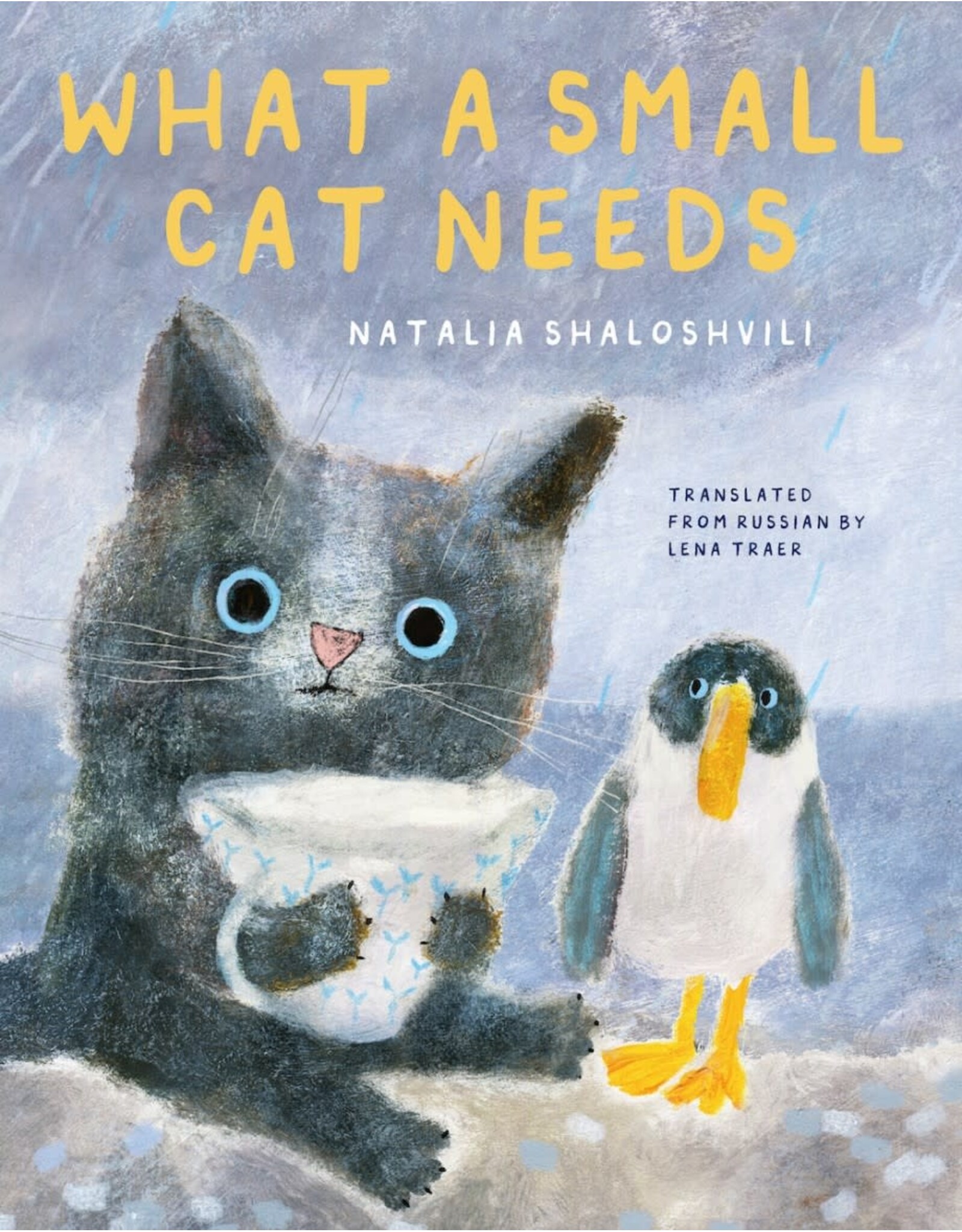 What A Small Cat Needs