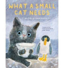 What A Small Cat Needs