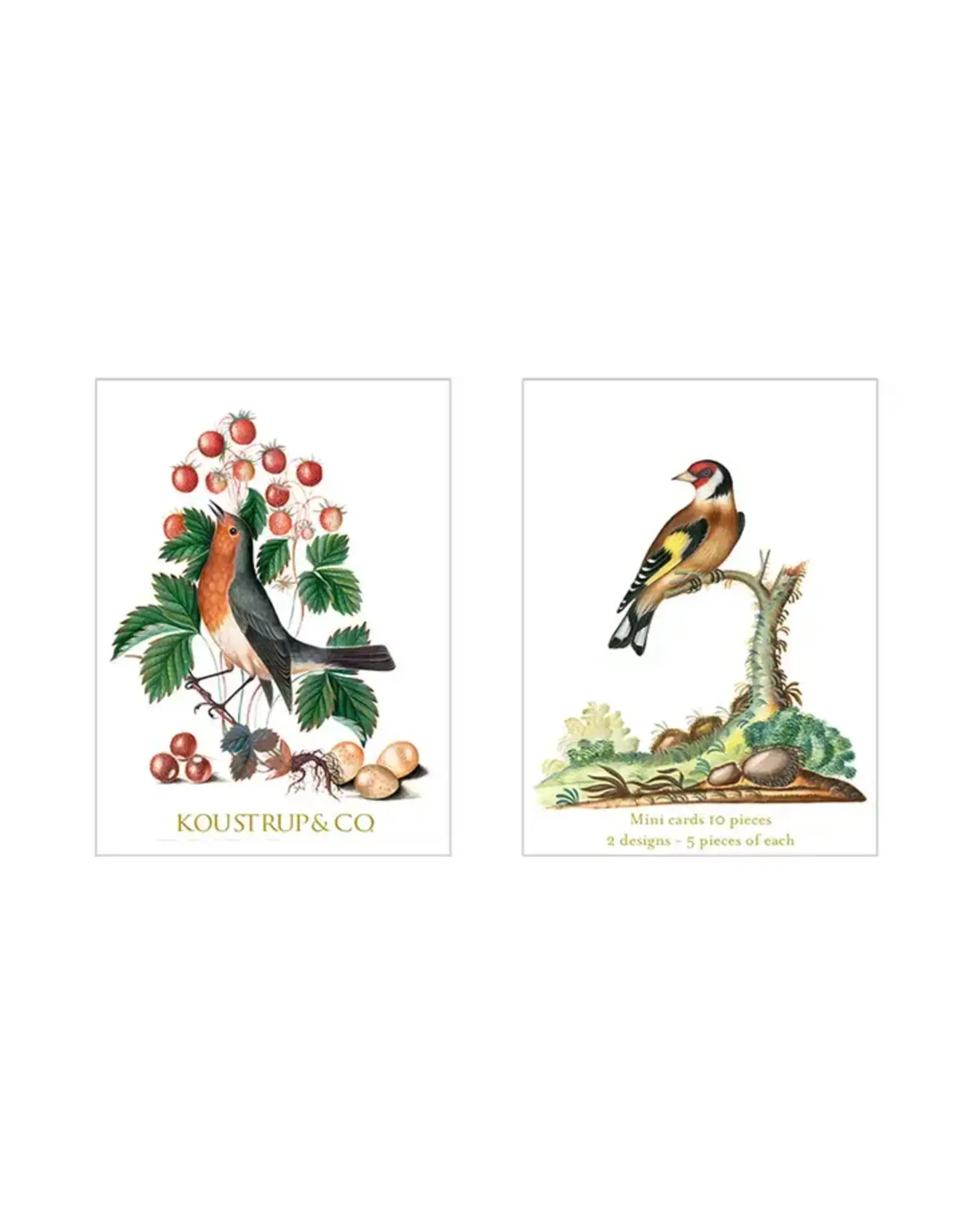 Summer,  Robin Notecard Set