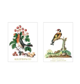 Summer,  Robin Notecard Set