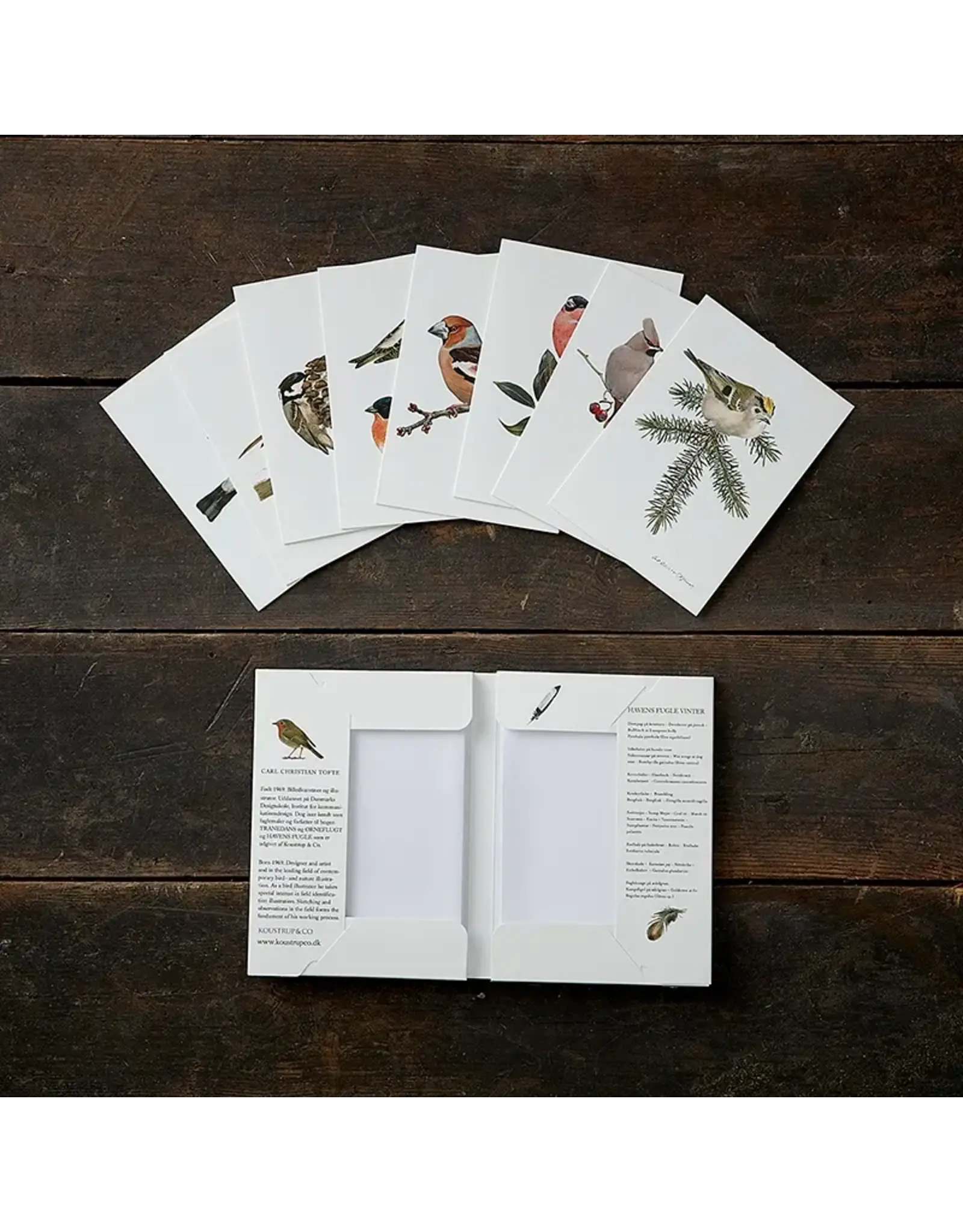 Winter Garden Birds Notecard Set
