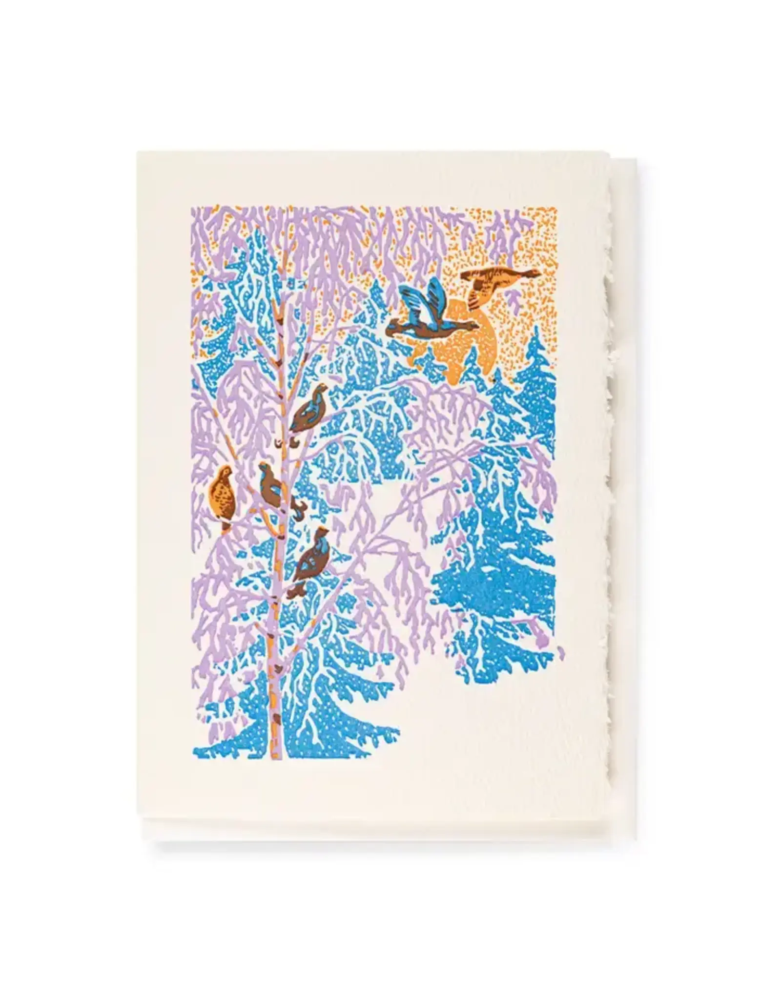 Winter Birds Holiday Card