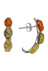 Multicolor Amber Hoop Style Earrings
