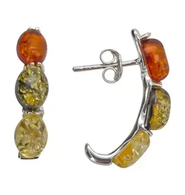 Multicolor Amber Hoop Style Earrings