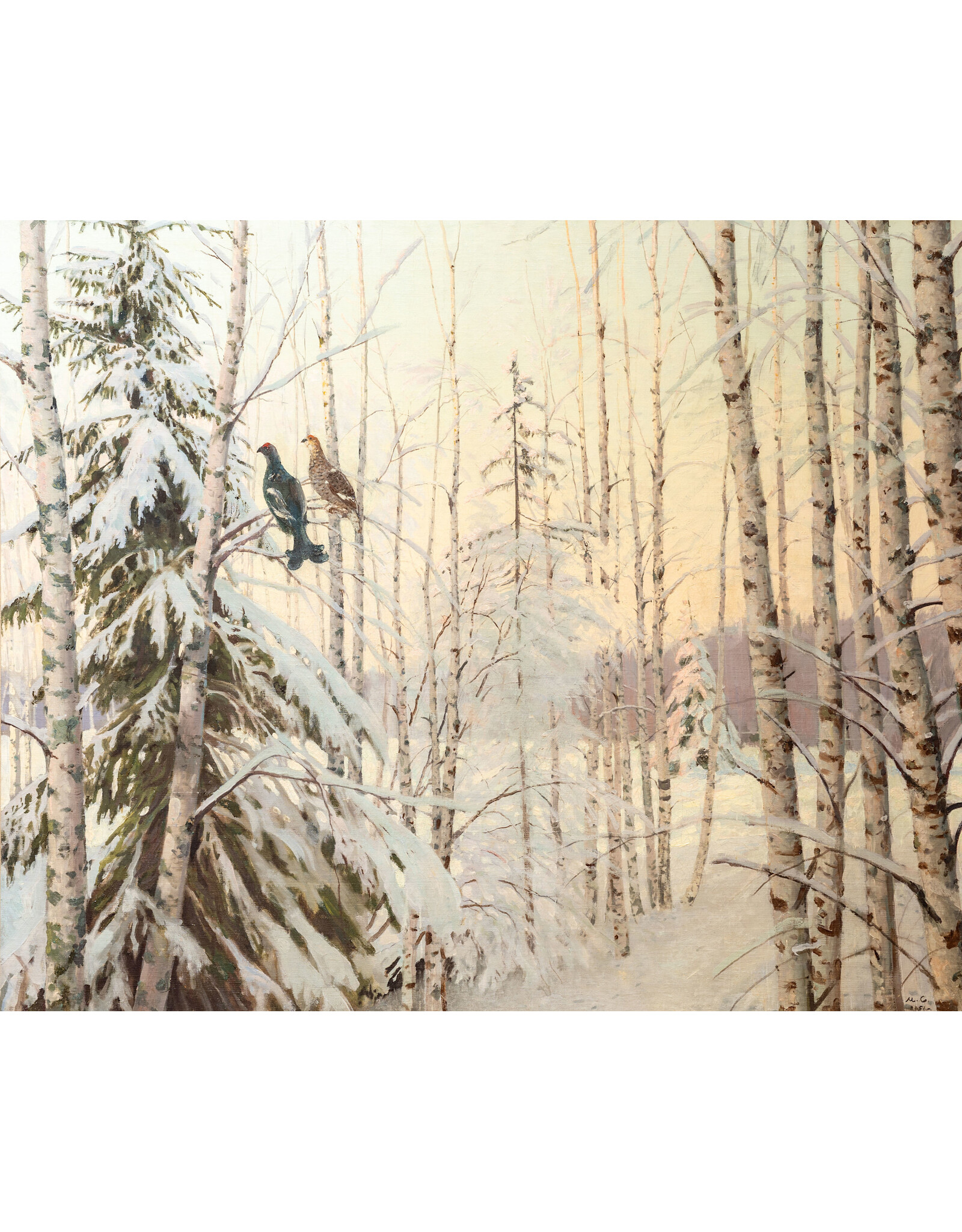 Grouse on Birches in Winter Forest Postcard
