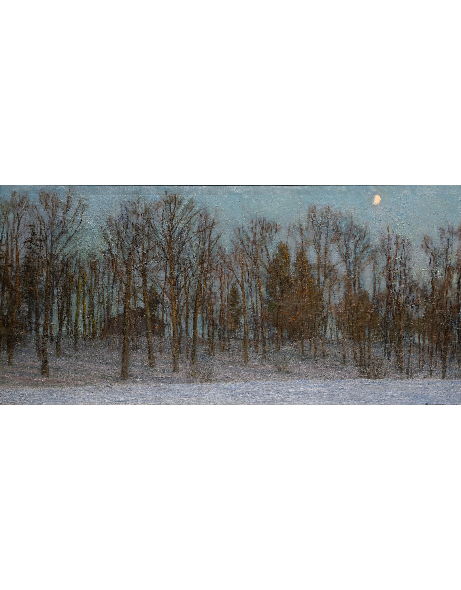 Blue Shadows on Msta River Postcard
