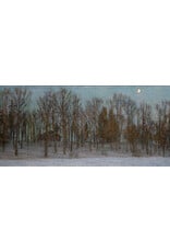 Blue Shadows on Msta River Postcard
