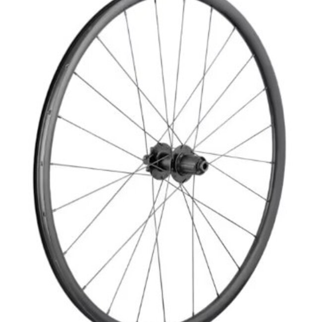 Bontrager Paradigm SL 6-Bolt Disc 24H 700c Road Wheel Rear Shimano HG-11speed