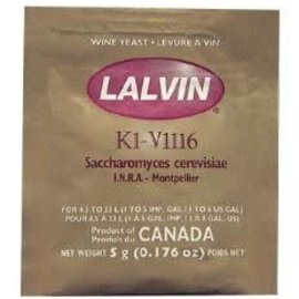 Lalvin K1V-1116 - Sauvignon Blanc