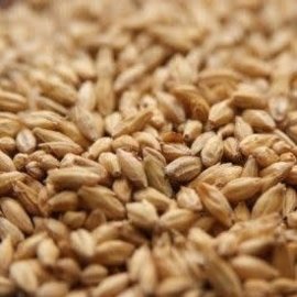 Proximity Malt 2 Row / Base Malt