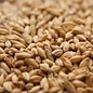 2 Row / Base Malt